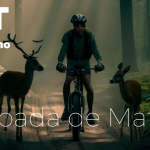 mtb-in-the-forest-with-deers-4
