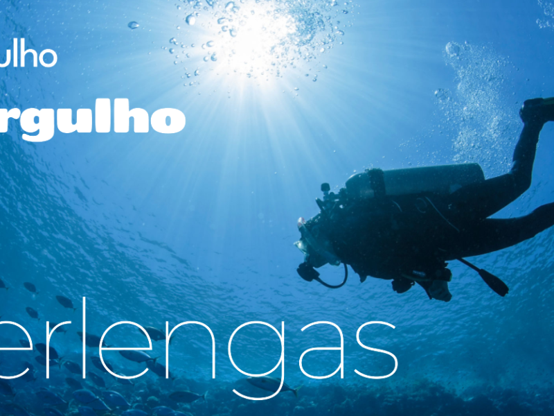 scuba-diving-in-the-summer