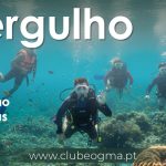 20260704_mergulho