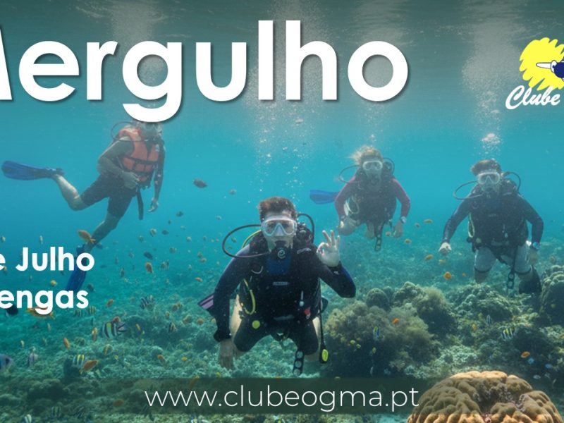 20260704_mergulho
